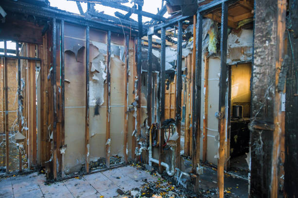 Professional Odor Removal technician working in Staunton, VA